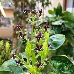 141位のイメージ