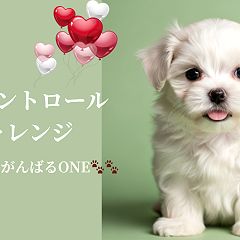 66位のイメージ