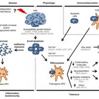 94位のイメージ