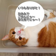 23位のイメージ