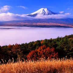 1061位のイメージ