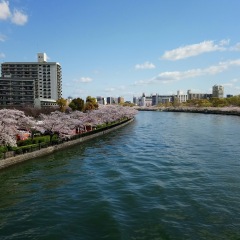 134位のイメージ