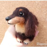 41位のイメージ