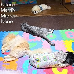 21位のイメージ