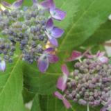 20位のイメージ