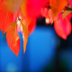 25位のイメージ