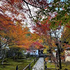 11位のイメージ