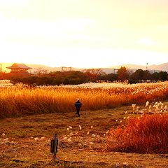 20位のイメージ