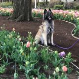 322位のイメージ