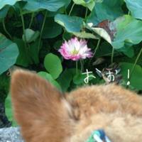 423位のイメージ