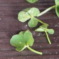 19位のイメージ