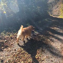 26位のイメージ