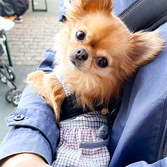 14位のイメージ