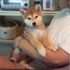 39位のイメージ