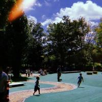 117位のイメージ