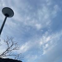 36位のイメージ