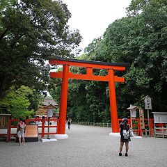 37位のイメージ