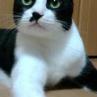 39330位のイメージ