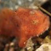 12位のイメージ