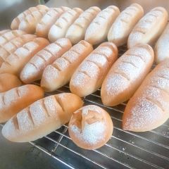 223位のイメージ