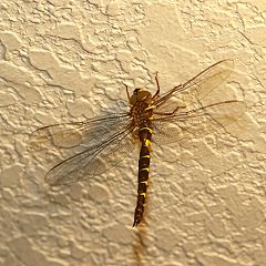 30位のイメージ