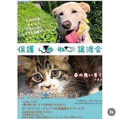 132位のイメージ