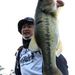 95位のイメージ