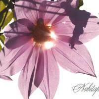 13位のイメージ