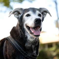 88位のイメージ