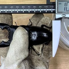 22位のイメージ