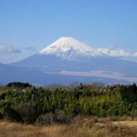 147位のイメージ