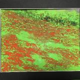 99位のイメージ