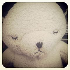 34位のイメージ