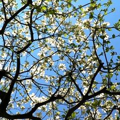 73位のイメージ