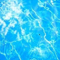 14位のイメージ