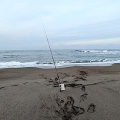 17位のイメージ