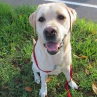 29位のイメージ