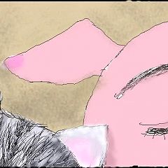 206位のイメージ