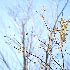 98位のイメージ