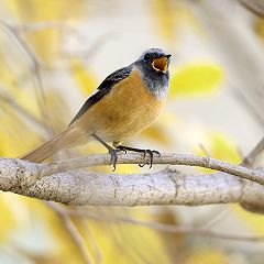 96位のイメージ