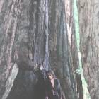 26位のイメージ