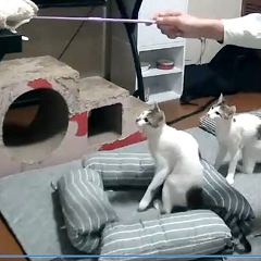 63位のイメージ