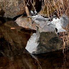 122位のイメージ