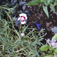 139位のイメージ