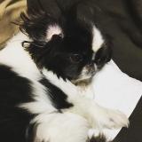 29位のイメージ