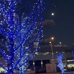 19位のイメージ