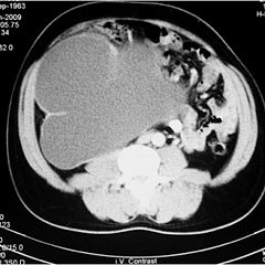 66位のイメージ