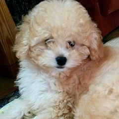 26位のイメージ