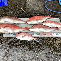 104位のイメージ