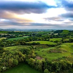 12位のイメージ